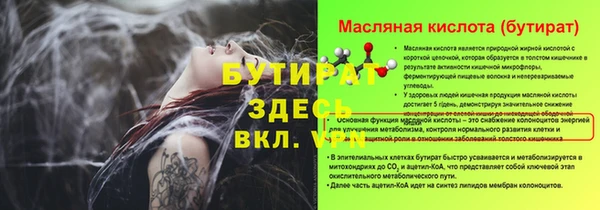 ешки Новодвинск