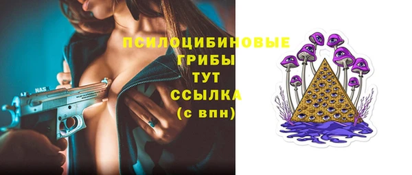 MDMA Новозыбков