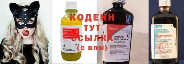 ешки Новодвинск