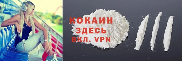 ешки Новодвинск