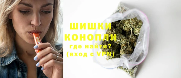 apvp Болотное