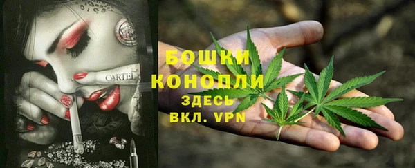 ешки Новодвинск