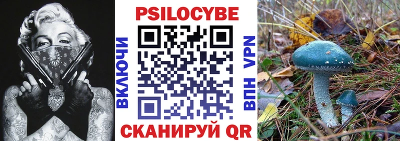 закладка Отрадный Галлюциногенные грибы Magic Shrooms