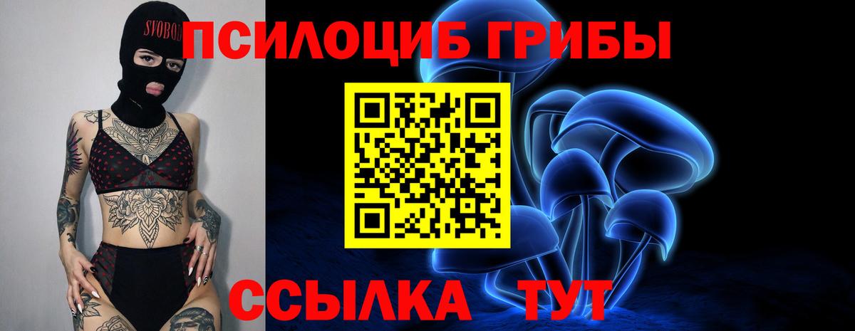 Отрадный  Галлюциногенные грибы ЛСД  Вход с VPN  Галлюциногенные грибы прущие грибы 